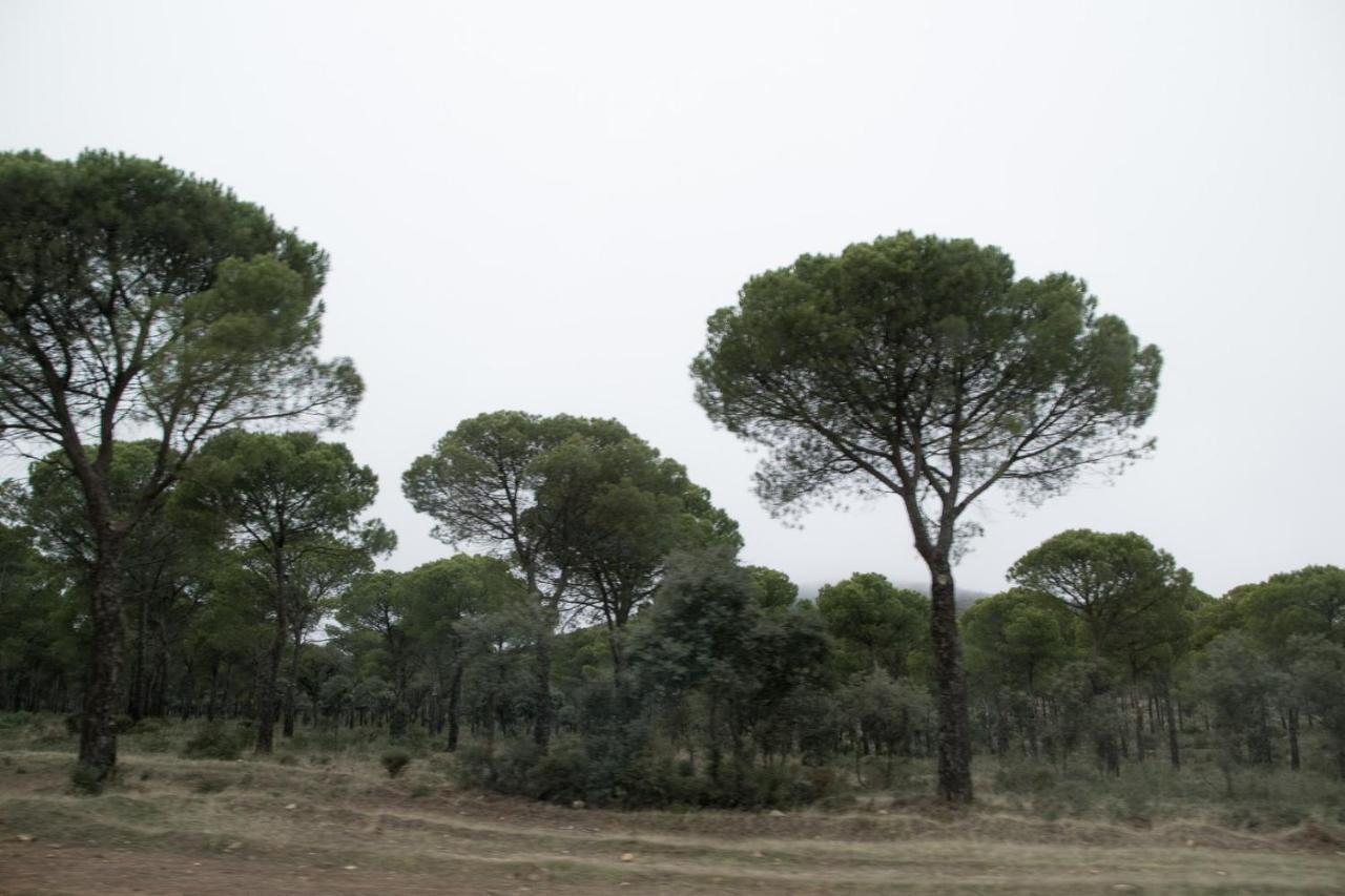 מדרידחוס Posada Del Herrero מראה חיצוני תמונה